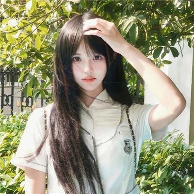 森林进化论第三季